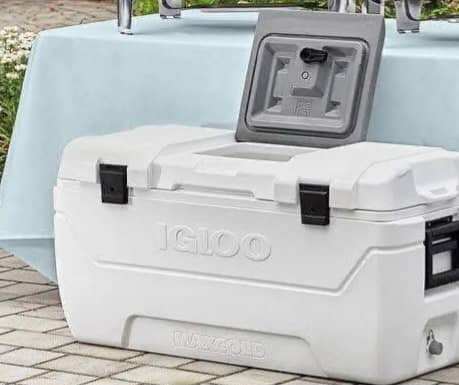 Ice chest