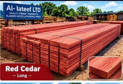 Cedar